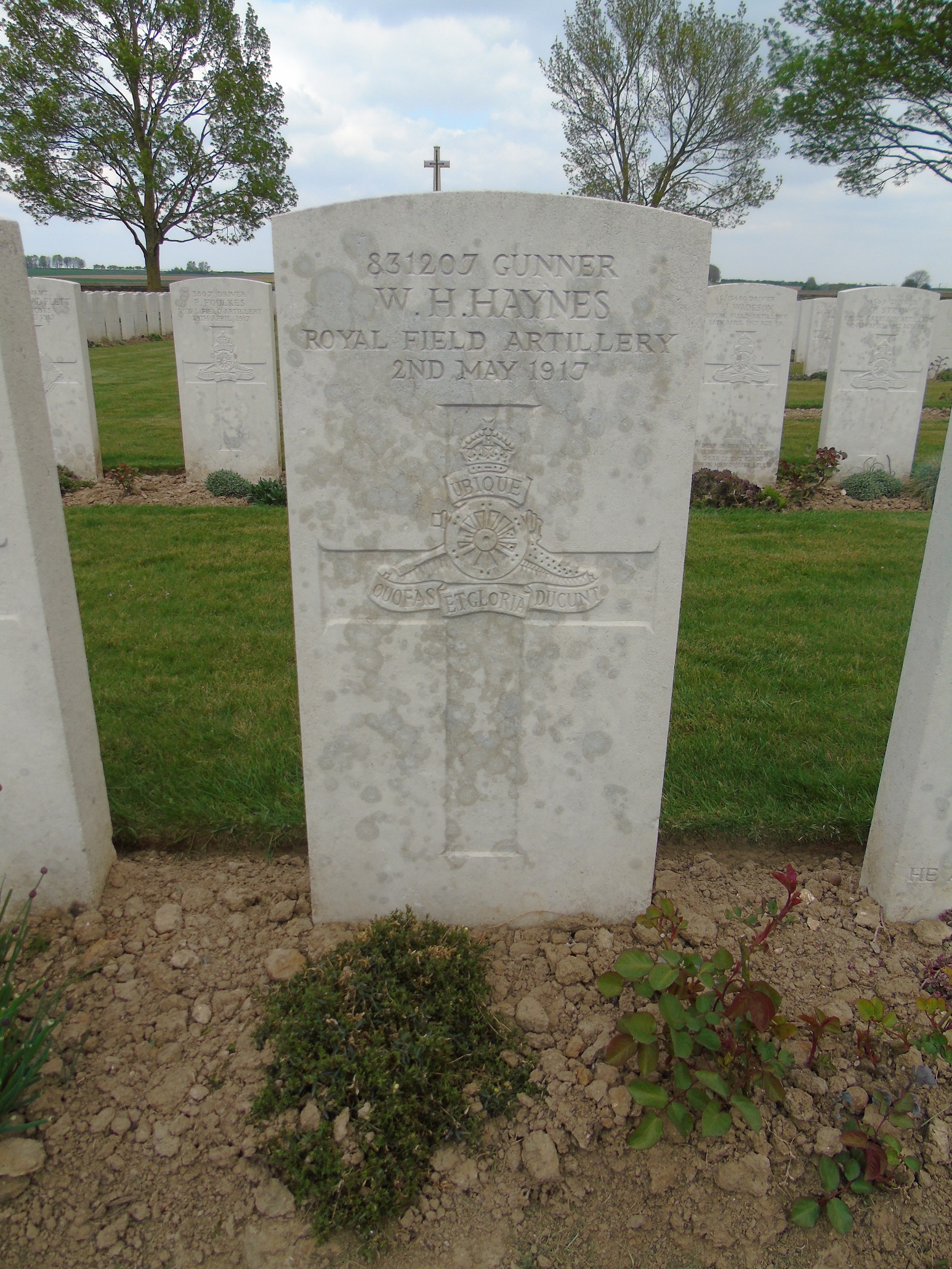 Gunner William Haynes' grave in Bailleul Road East Cemetery, St Laurent-Blagny.